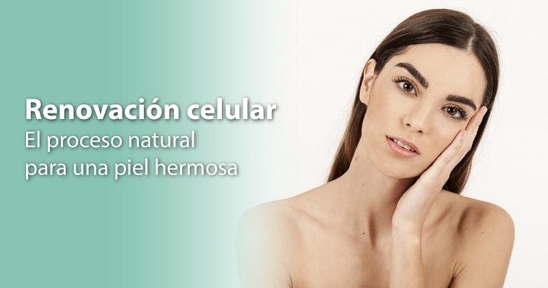Renovación celular: el proceso natural para una piel hermosa