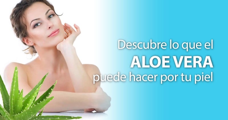 Descubre todo lo que el aloe vera puede hacer por tu piel